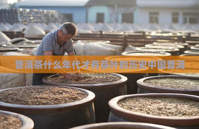 普洱茶什么年代才有茶叶