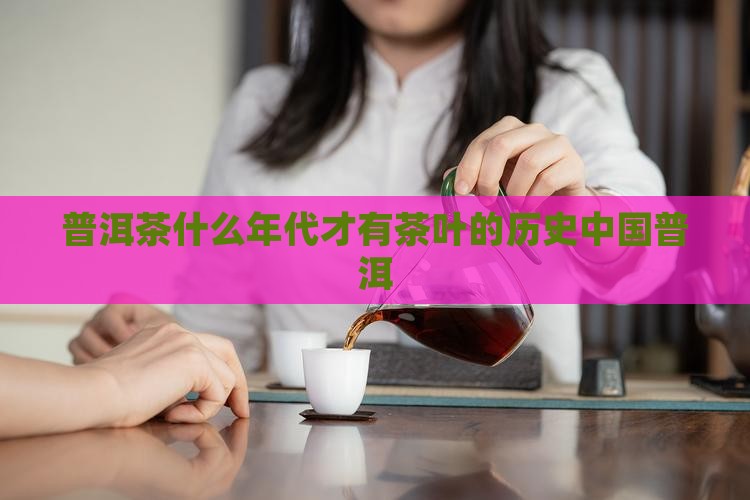 普洱茶什么年代才有茶叶
