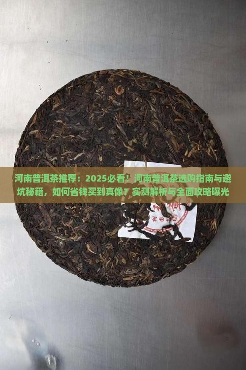 河南普洱茶推荐