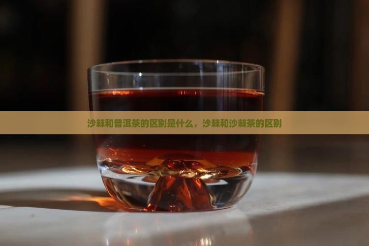 沙棘和普洱茶的区别是什么
