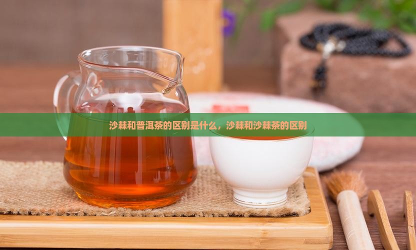 沙棘和普洱茶的区别是什么