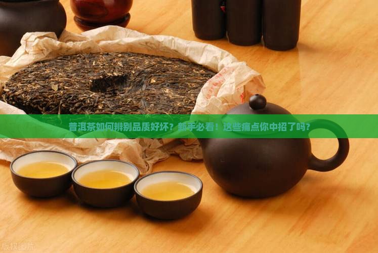 普洱茶如何辨别品质好坏