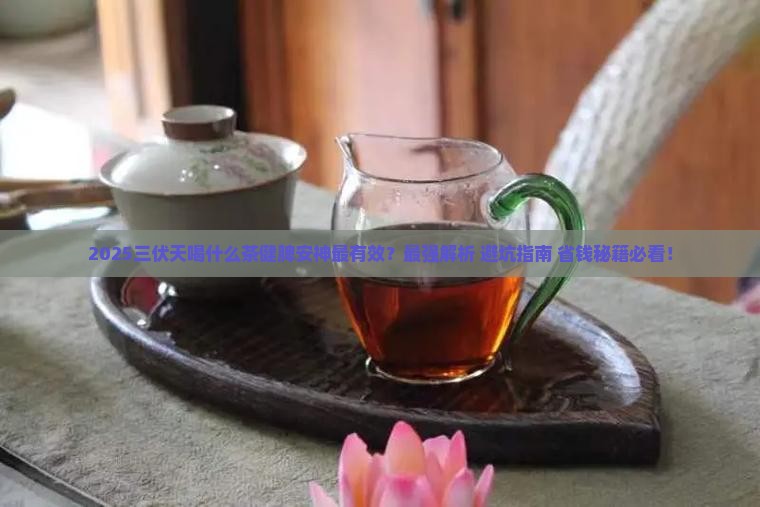 三伏天喝什么茶健脾安神