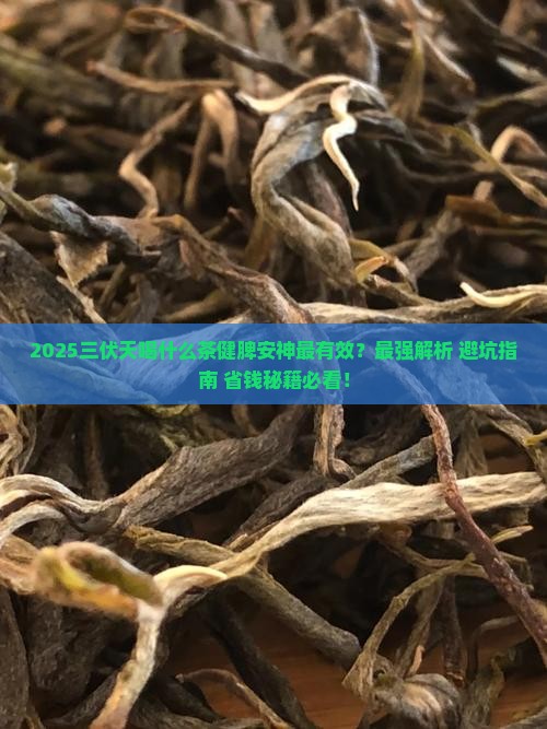 三伏天喝什么茶健脾安神