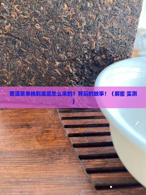 普洱茶什么时候才有的单株