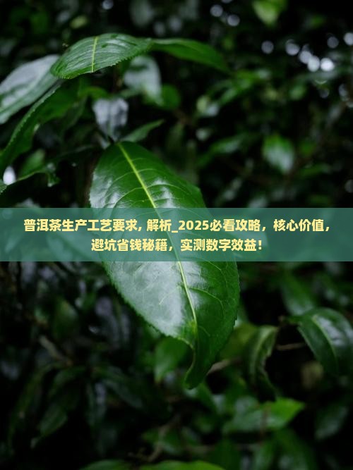 普洱茶生产工艺要求