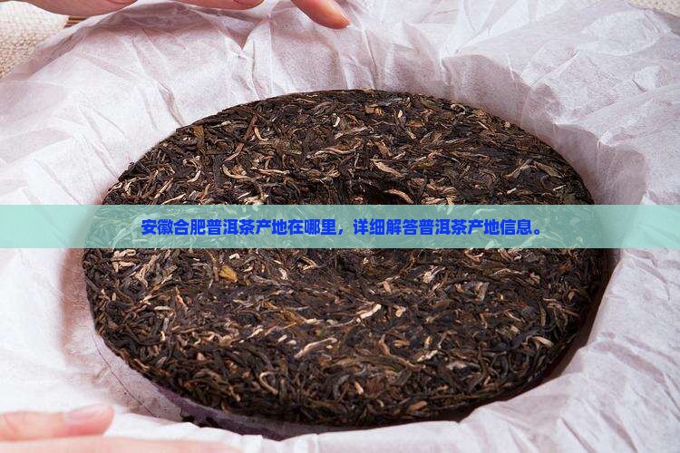 安徽合肥普洱茶产地在哪里
