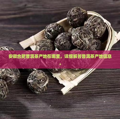 安徽合肥普洱茶产地在哪里