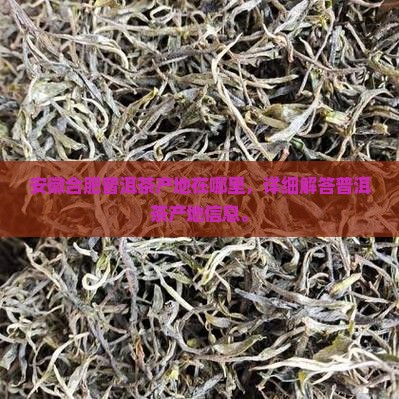 安徽合肥普洱茶产地在哪里