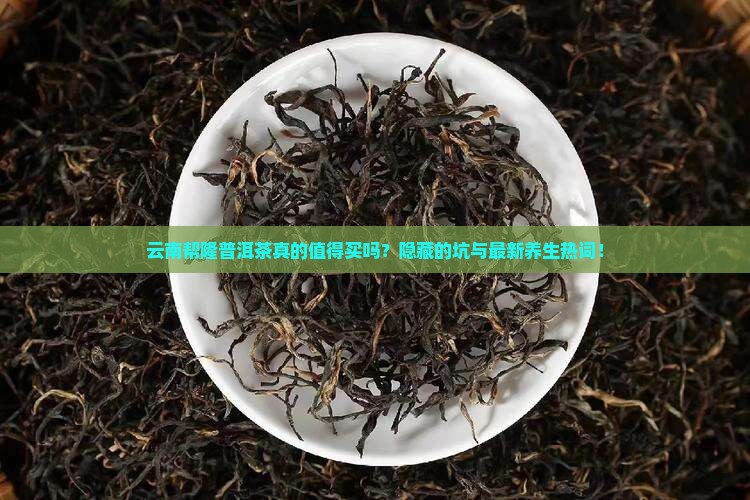 云南帮隆普洱茶