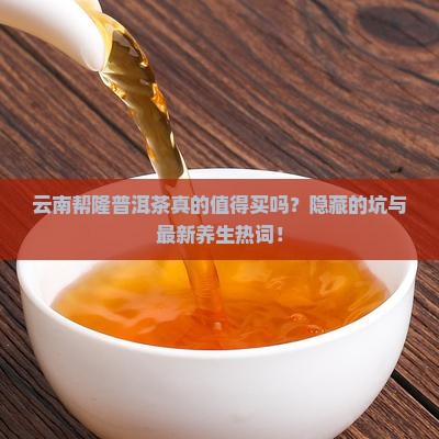 云南帮隆普洱茶