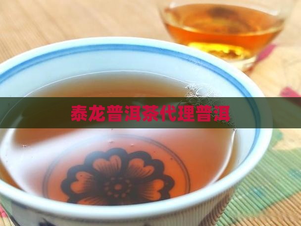 易泰龙普洱茶代理