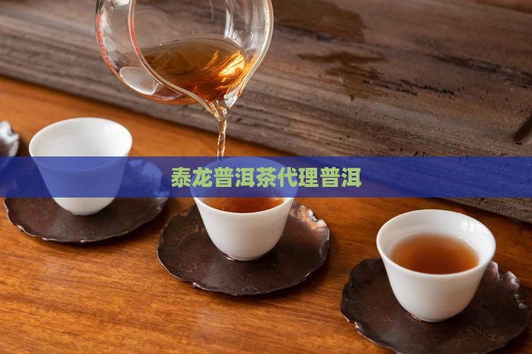 易泰龙普洱茶代理
