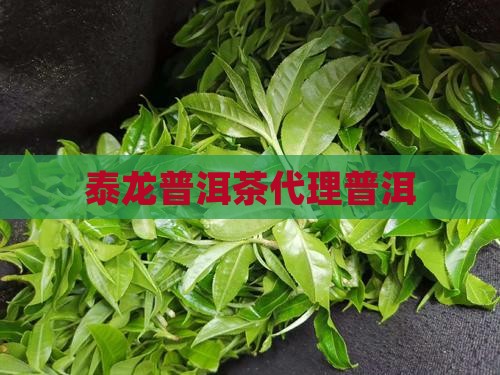 易泰龙普洱茶代理