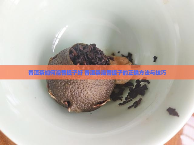 普洱茶如何泡菩提子好