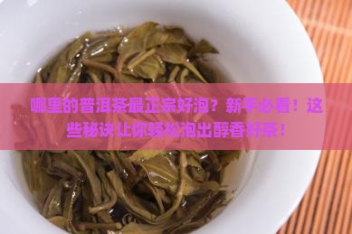 哪里的普洱茶最正宗好泡