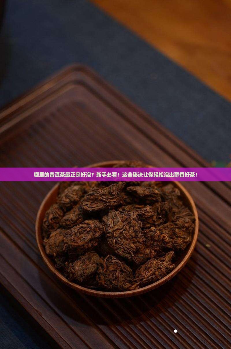 哪里的普洱茶最正宗好泡