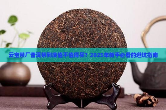 云宝茶厂普洱茶