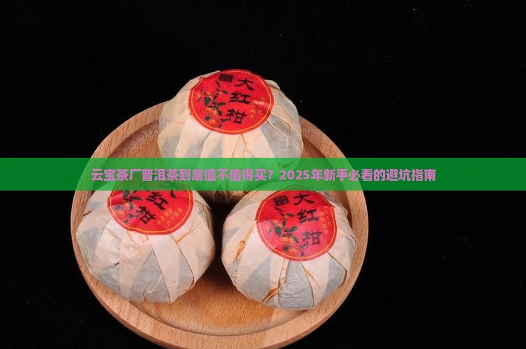 云宝茶厂普洱茶