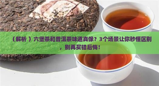 六堡茶和普洱茶味道很相似