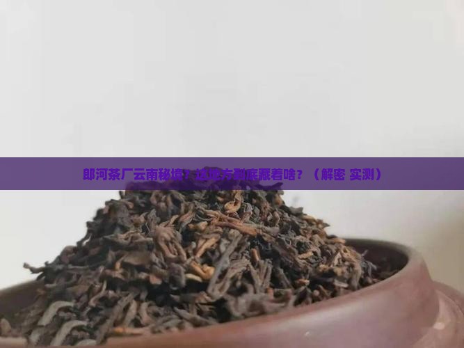 郎河茶厂云南秘境