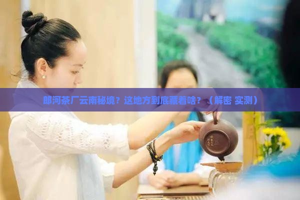 郎河茶厂云南秘境