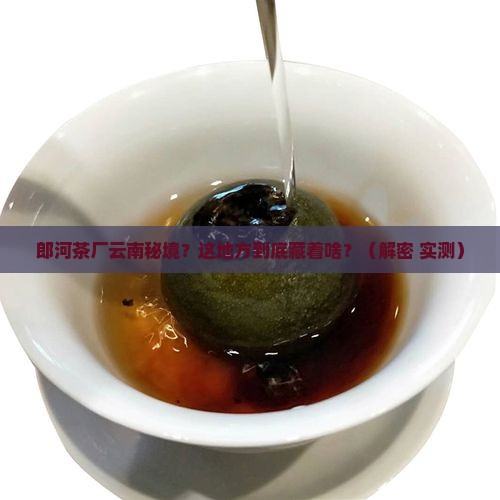 郎河茶厂云南秘境