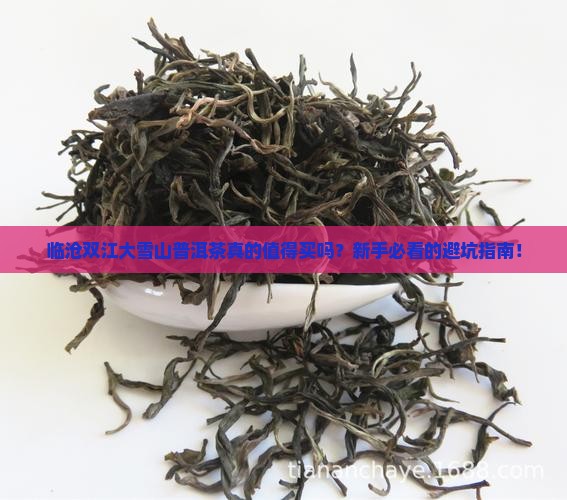 临沧双江大雪山普洱茶