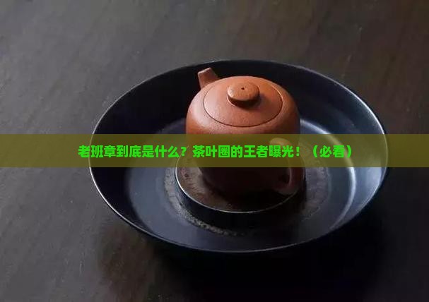 茶叶中的老班章是什么意思