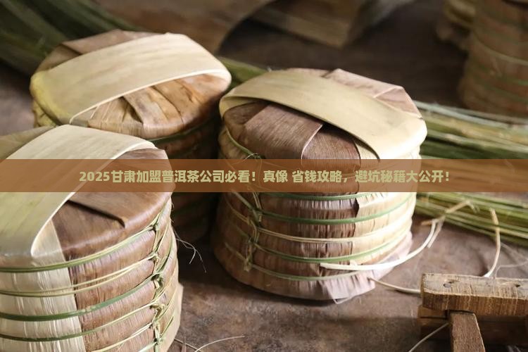 甘肃加盟普洱茶公司