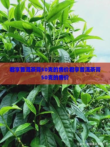 君享普洱茶膏50克的售价