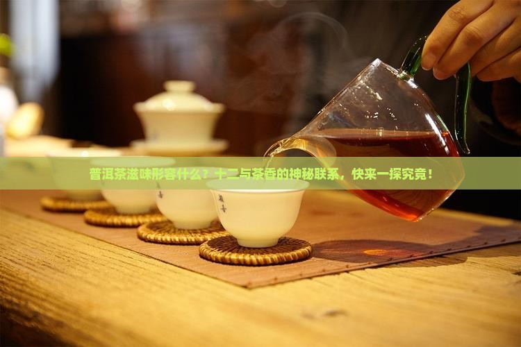 普洱茶滋味形容什么生肖
