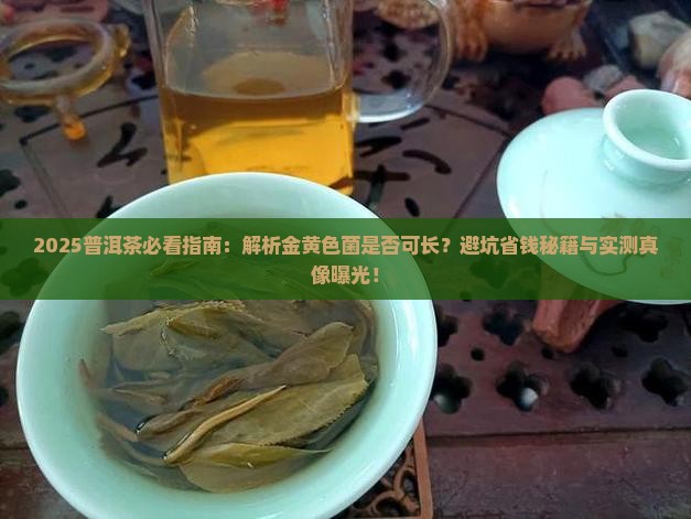 普洱茶可以长金黄色菌吗