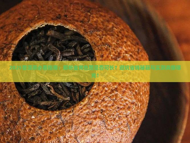 普洱茶可以长金黄色菌吗