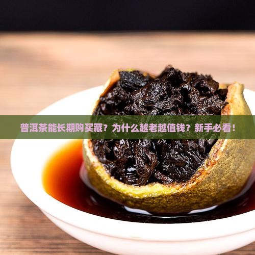 普洱茶能长期购买藏