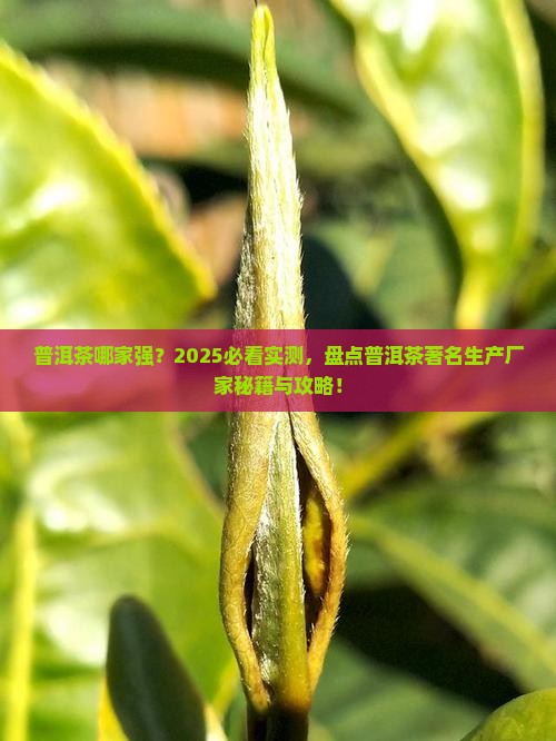 普洱茶著名生产厂家