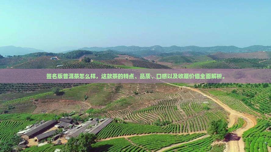 签名版普洱茶怎么样 签名版普洱茶怎么样