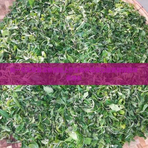 新一号无双普洱茶