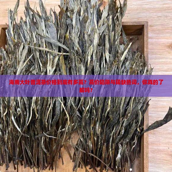海南大叶普洱茶价格