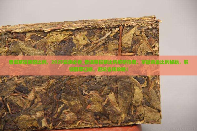 普洱茶投茶的比例