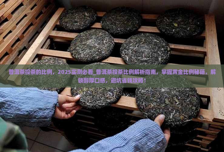 普洱茶投茶的比例