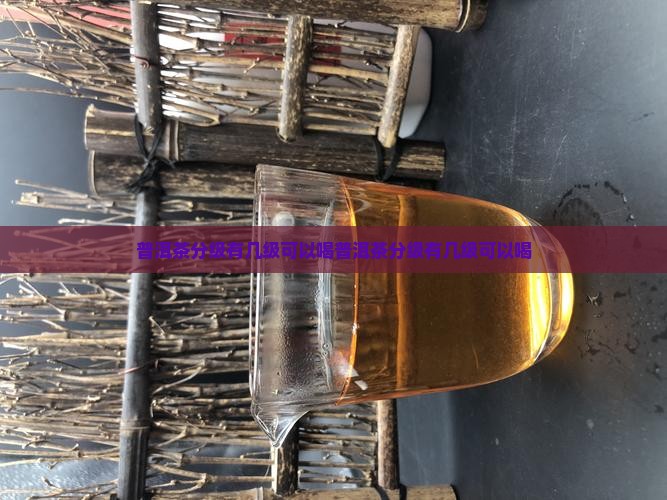 普洱茶分级有几级可以喝
