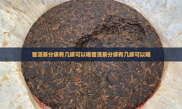 普洱茶分级有几级可以喝