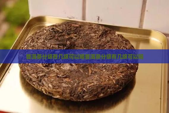 普洱茶分级有几级可以喝