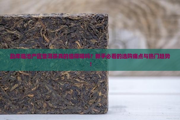 勐库临沧产区普洱茶特点