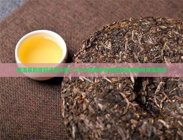 普洱茶好与不好区别