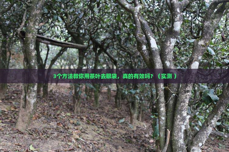 茶叶怎么去眼袋