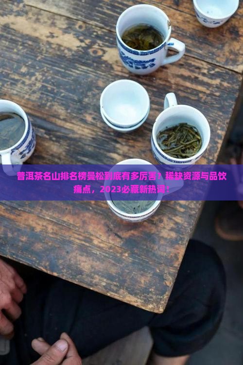 普洱茶名山排名榜曼松