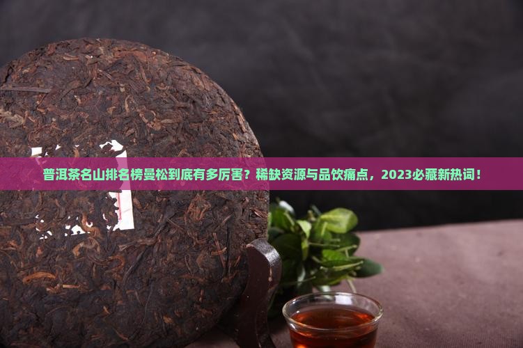 普洱茶名山排名榜曼松