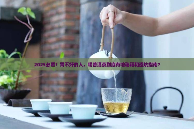 胃不好的喝哪种普洱茶更好